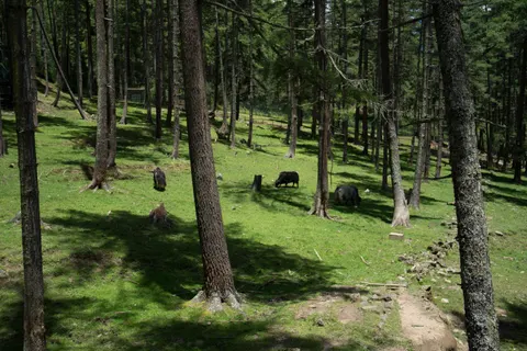 Photo from Bhutan