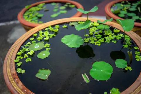 Photo from Bangkok